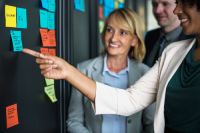 Corporate Governance: Roles and Responsibilities of Boards of Directors